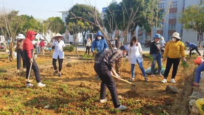 Đoàn viên Công đoàn cơ sở Trung tâm Kiểm soát bệnh tật tỉnh trồng cây xanh tạo cảnh quan môi trường Xanh   Sạch   Đẹp