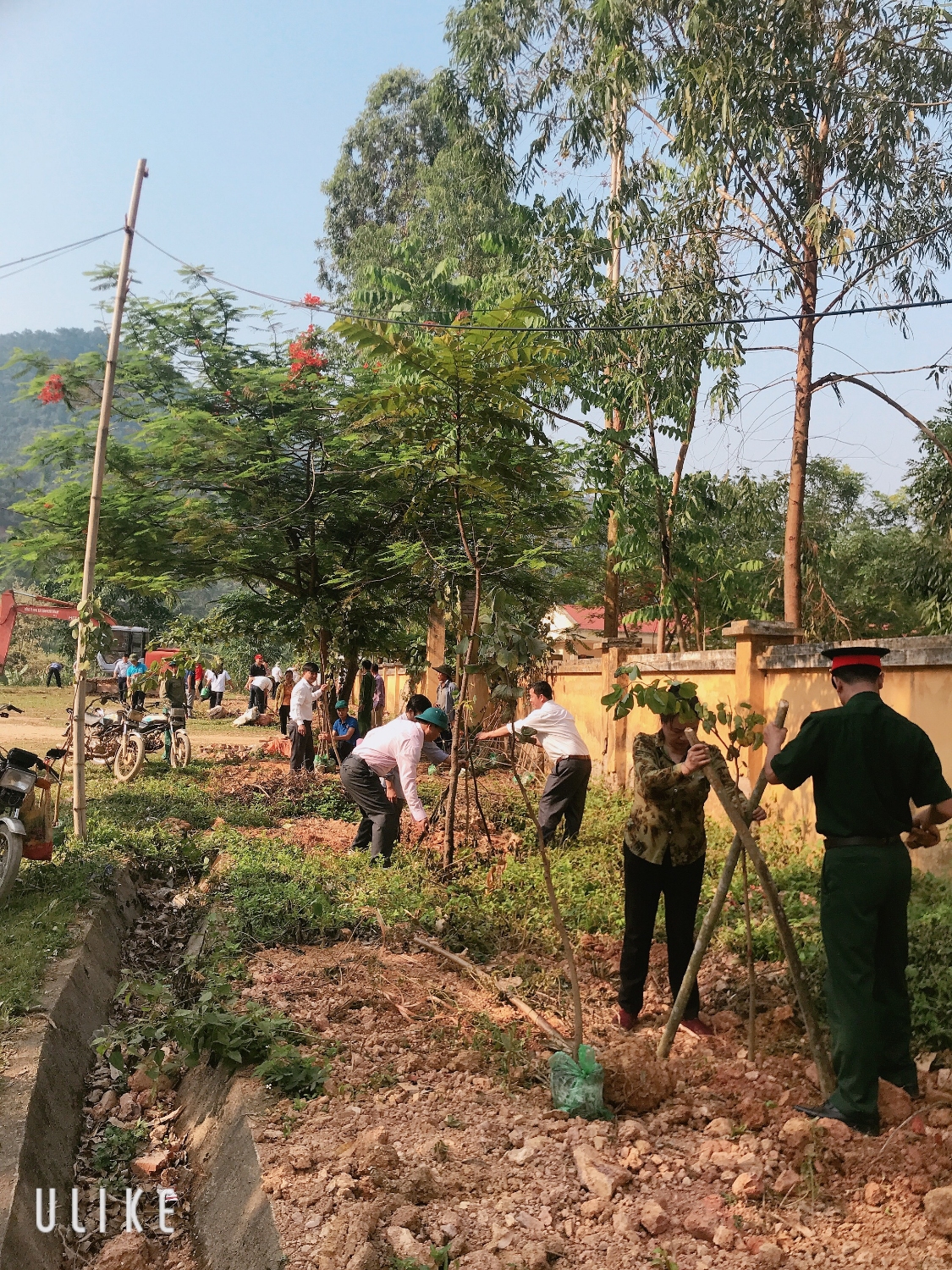 Các đồng chí đoàn viên Công đoàn huyện Than Uyên tham gia trồng cây
